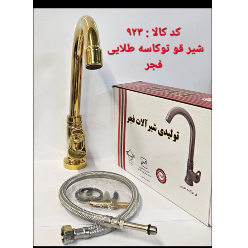شیر قو تو کاسه طلایی فجر (پس کرایه)